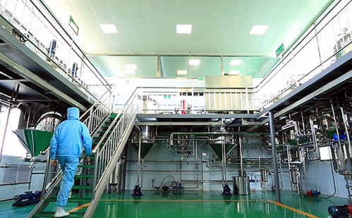 長(zhǎng)治高新區(qū) 新品精品名品優(yōu)品 鑫百味老樹(shù)核桃油